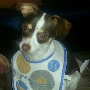 Meet your Posher, Red star